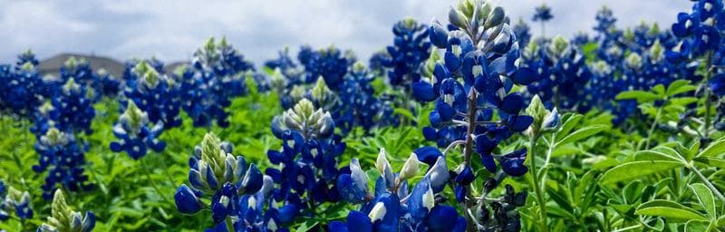 Progressive blur demo